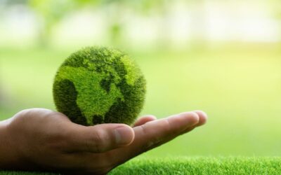 Devons-nous réinventer l&rsquo;éducation pour sauver la planète ? Révélations choquantes !