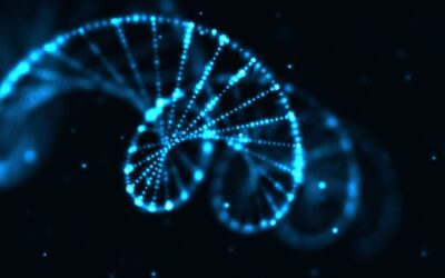 Entropie inversée : La découverte qui pourrait bouleverser la physique