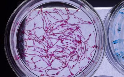 Les fantômes de la science : 10 découvertes abandonnées qui pourraient changer le monde
