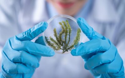 La Face Cachée des Formations en Science : Comment les Thèses sont Réellement Attribuées