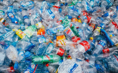 Veille environnementale 2025: actualités enjeux climatiques et innovations durables globales
