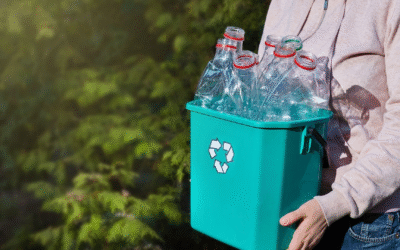 État des lieux environnemental 2025 : défis mondiaux et espoirs partagés