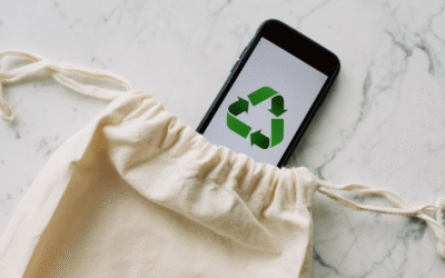 Veille environnementale fiable : pilier de l’action face à l’urgence écologique