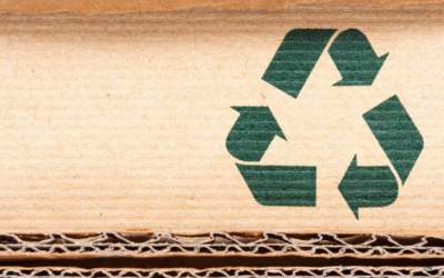 Veille environnementale 2025 : suivre le boom des renouvelables