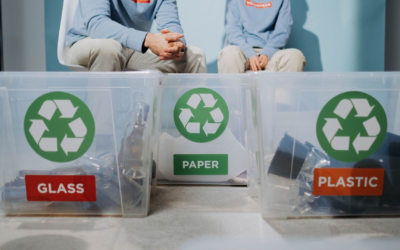Actualités écologiques 2025 : vigilance décideurs et citoyens face urgences côtières