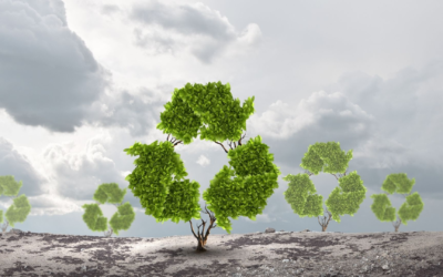 Urgence verte : les enjeux et solutions du climat en 2025