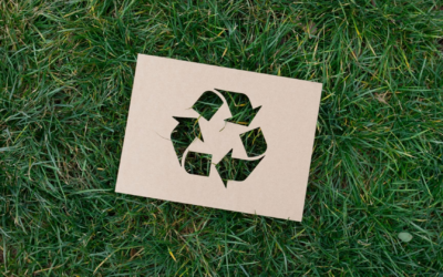 Veille environnementale 2025 : décisions politiques et innovations vertes pour agir