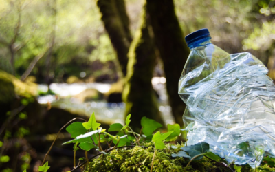 Urgence écologique : agir maintenant pour sauver notre planète