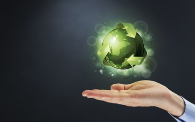 Protéger notre planète décisions clés innovations et actions concrètes 2025
