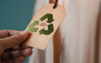 Environnement 2025 neutralité carbone, innovations et actions locales