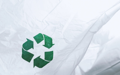 Actualité écologique 2025 : état des lieux et perspectives