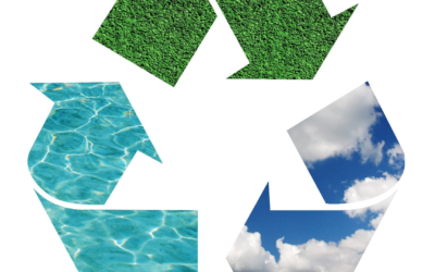 Veille environnementale 2025 : innovations, défis et espoirs pour demain