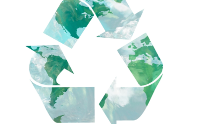 Veille environnementale 2025 : enjeux, innovations et solutions concrètes
